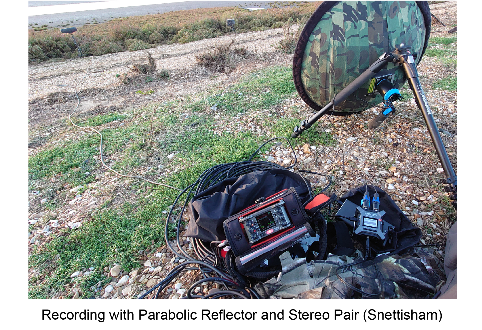 photo of recording with a parabolic reflector in Norfolk coast
